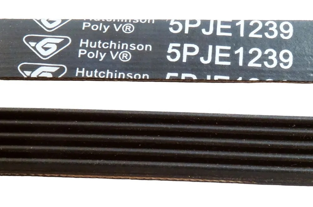 1239 Ремень стиральной машины 5EPJ1239 Midea 12638100000251