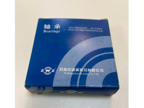 0922080794 Подшипник 6203 ZWZ China